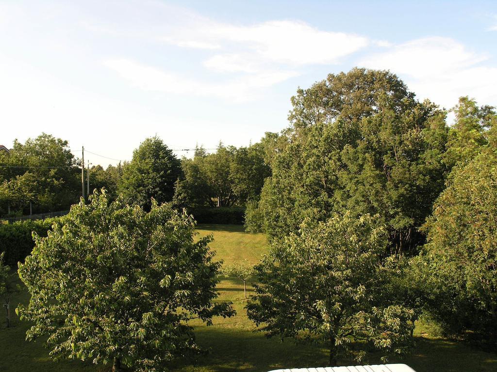 Stirenca B&B Trieste Ngoại thất bức ảnh